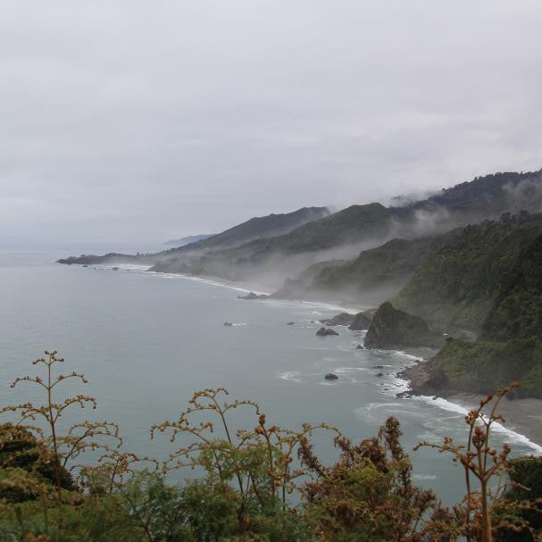 Paddling in New Zealand on The Kaituna
