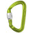 Edelrid Pure Screwgate Carabiner oasis