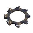 M6 Star Locking Washer pack of 6